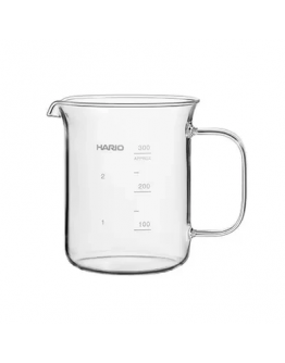 HARIO carafe-glass, heat-resistant glass 300 ml